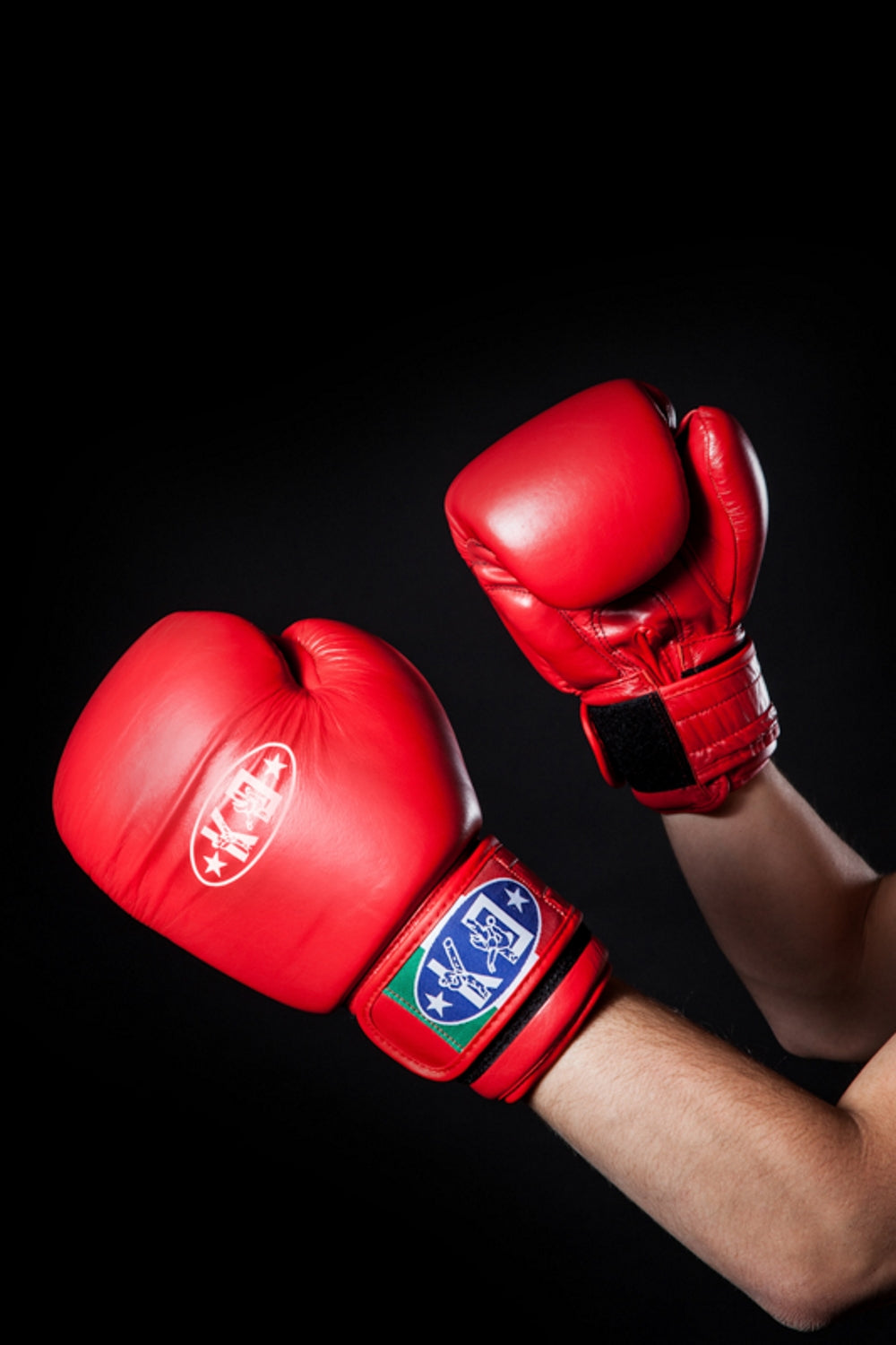 guanto boxe 10oz pelle ko italia