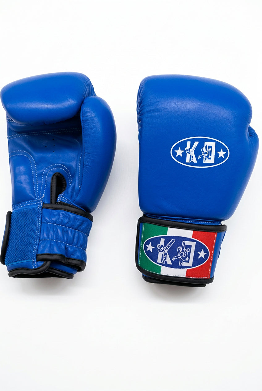 guanto boxe blu pelle 10 oz ko italia