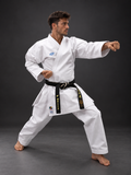 karategi professionale kumite ko italia